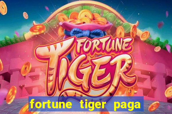 fortune tiger paga de madrugada